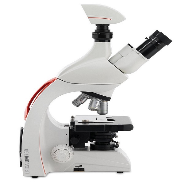 Optical microscope